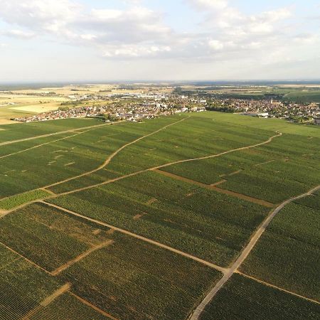 Les Portes Du Vignoble Nuits-Saint-Georges Zewnętrze zdjęcie